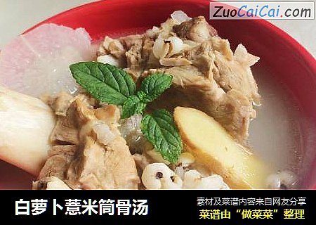 白萝卜薏米筒骨汤