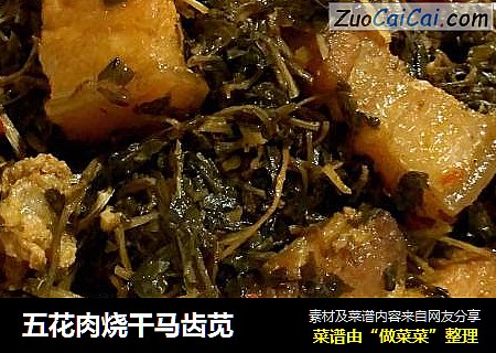 五花肉烧干马齿苋