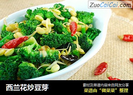西兰花炒豆芽