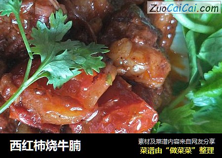 西红柿烧牛腩