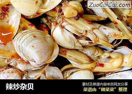 辣炒杂贝