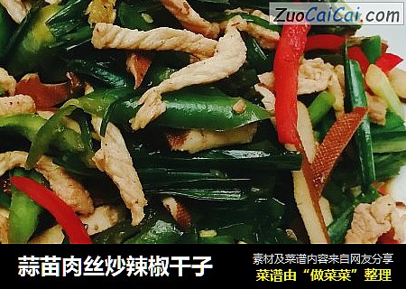 蒜苗肉丝炒辣椒干子
