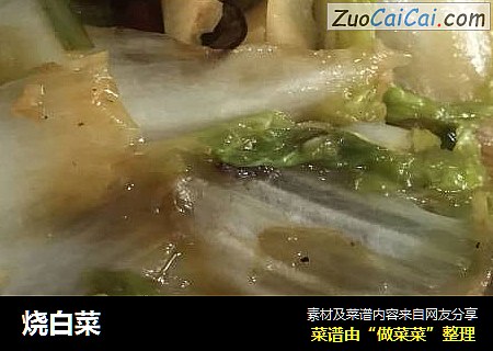 烧白菜