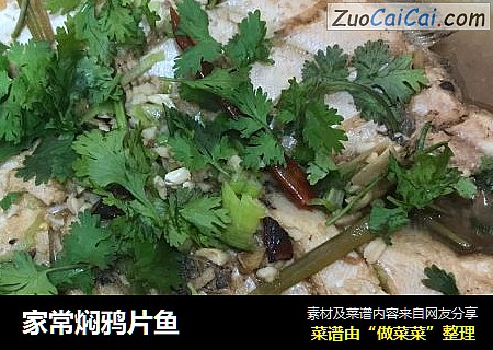家常焖鸦片鱼