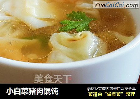 小白菜猪肉馄饨