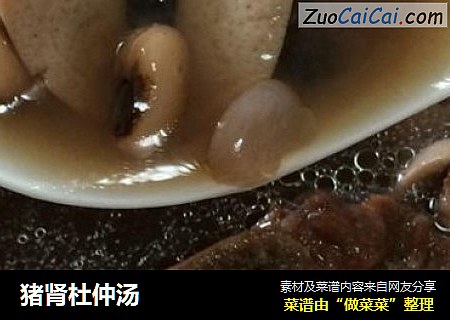 猪肾杜仲汤