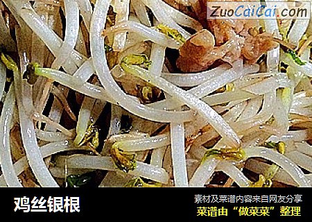 鸡丝银根