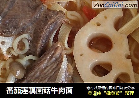 番茄莲藕菌菇牛肉面