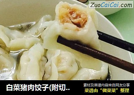 白菜猪肉饺子(附切法和包法）