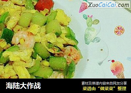 海陆大作战