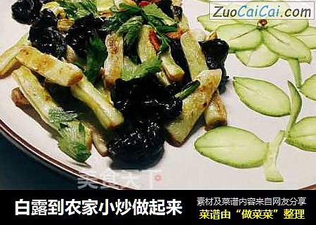 白露到农家小炒做起来