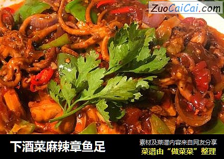 下酒菜麻辣章鱼足