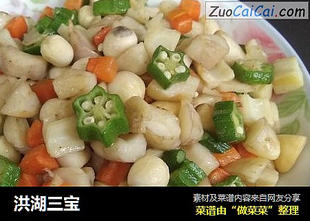 洪湖三宝