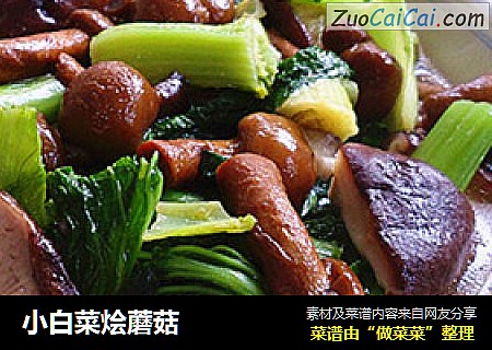 小白菜烩蘑菇