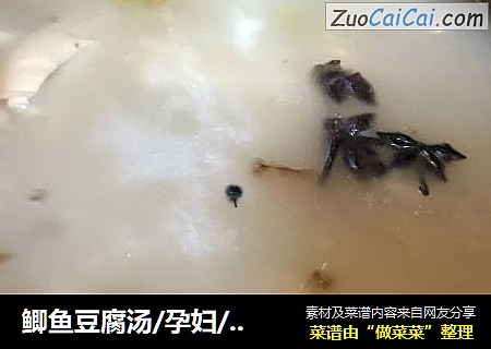 鲫鱼豆腐汤/孕妇/儿童营养餐食谱