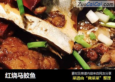 红烧马鲛鱼
