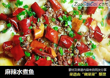 麻辣水煮鱼