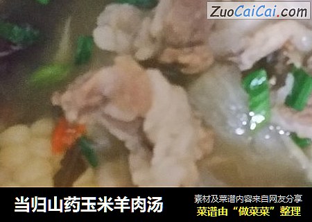 当归山药玉米羊肉汤