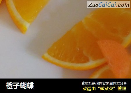 橙子蝴蝶