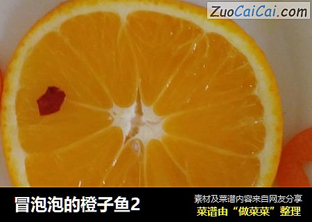 冒泡泡的橙子鱼2