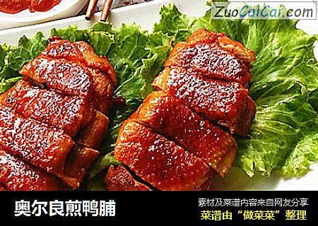 奥尔良煎鸭脯