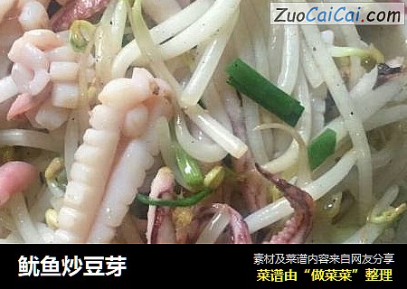 鱿鱼炒豆芽