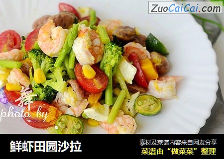 鲜虾田园沙拉