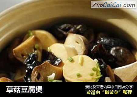 草菇豆腐煲