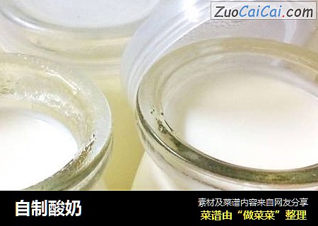 自制酸奶