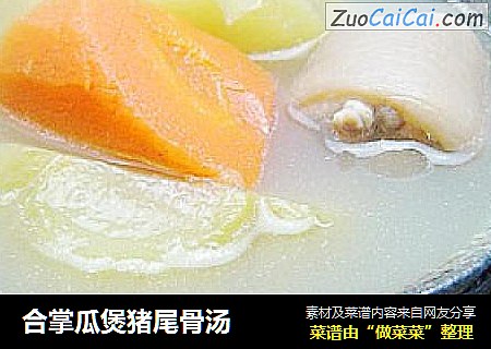 合掌瓜煲猪尾骨汤