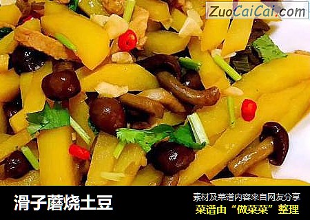 滑子蘑烧土豆