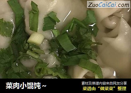 菜肉小馄饨～