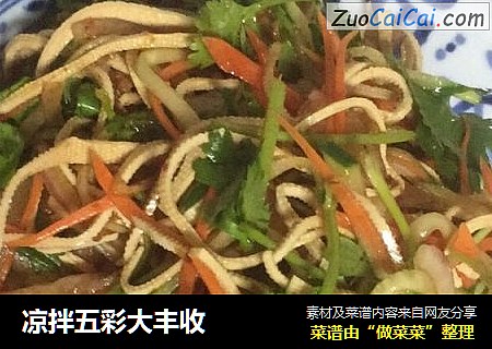 凉拌五彩大丰收