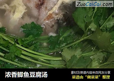 浓香鲫鱼豆腐汤