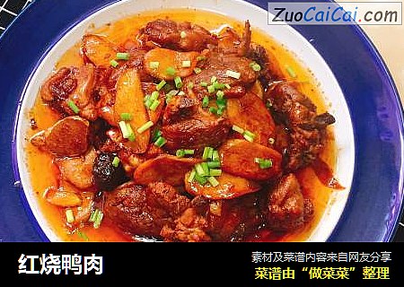 红烧鸭肉