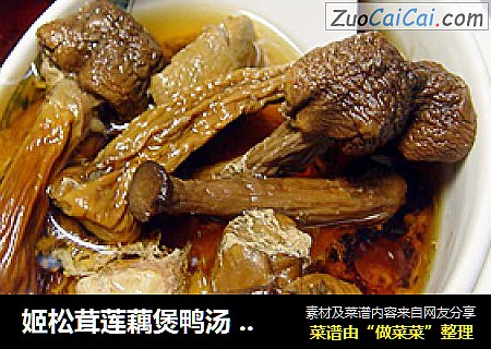 姬松茸莲藕煲鸭汤 增强抵抗力