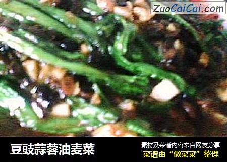 豆豉蒜蓉油麦菜