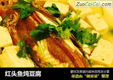 红头鱼炖豆腐