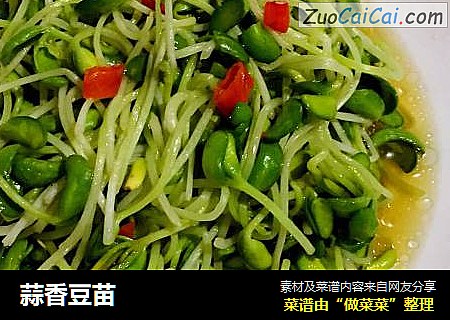 蒜香豆苗