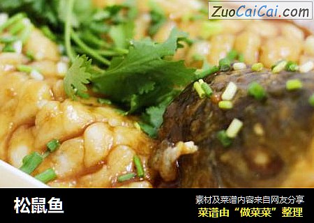 松鼠鱼
