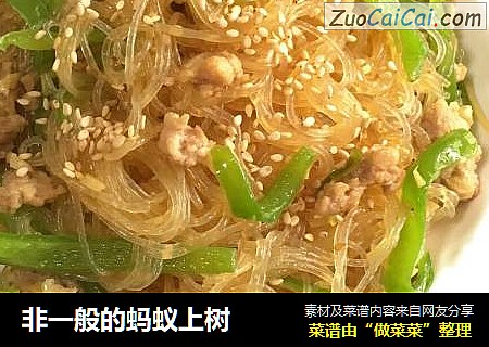 非一般的蚂蚁上树