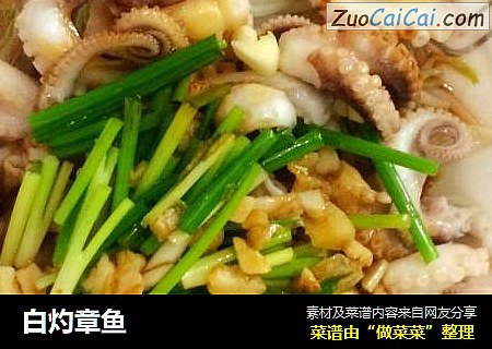 白灼章鱼