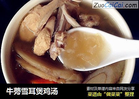 牛蒡雪耳煲鸡汤