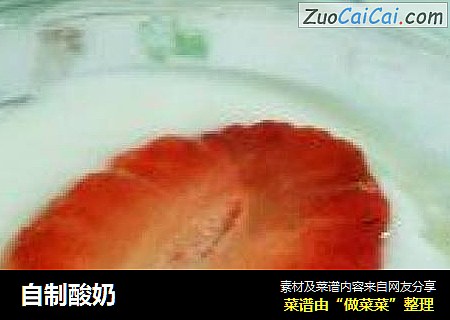 自制酸奶