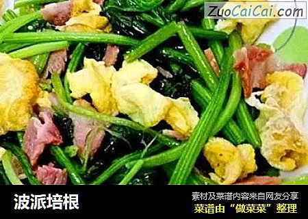 波派培根