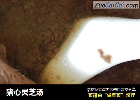 猪心灵芝汤