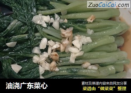 油浇广东菜心