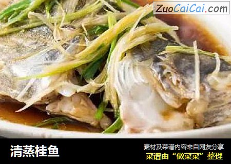 清蒸桂鱼