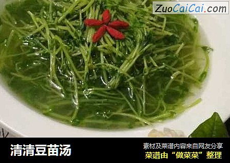 清清豆苗汤