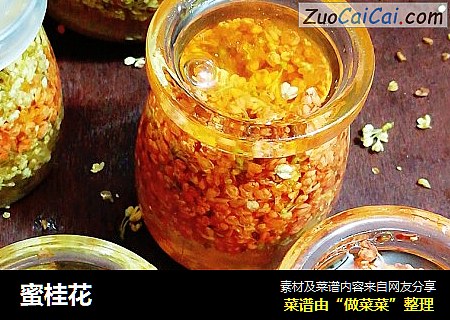 蜜桂花